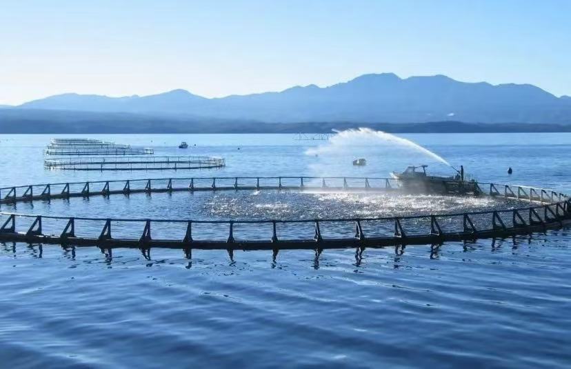 Dari Sungai hingga Instalasi Air: Peran Kunci Sensor Kualitas Air dalam Pengelolaan Air Cerdas